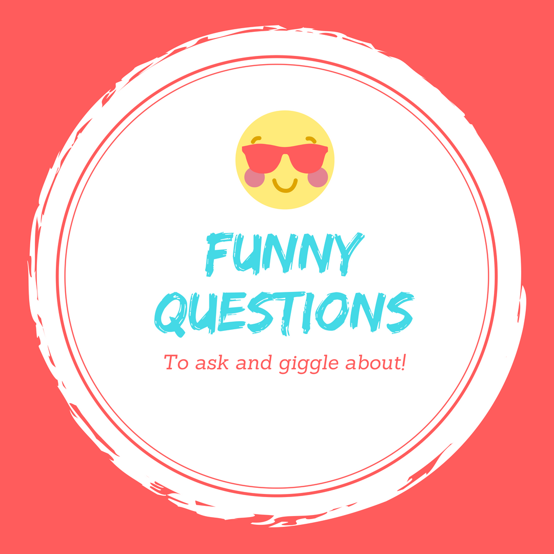 Funny Questions 1