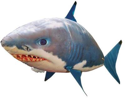 SHARK!! HELP!!