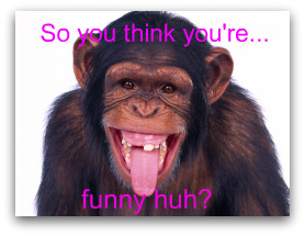 funny chimp