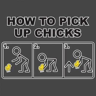 How To Pick Up Chicks