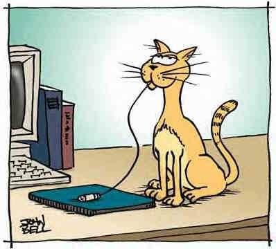 Have your mouse and eat it.