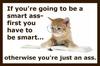 Funny Saying - Smart Ass