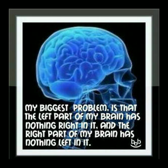 Top 20 Short funny sayings about stupid people and stupidity Top 20 Short funny sayings about stupid people and stupidity
