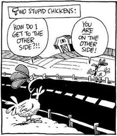 Why did the chicken cross the road