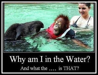 list of funny questions about animals list of funny questions about animals